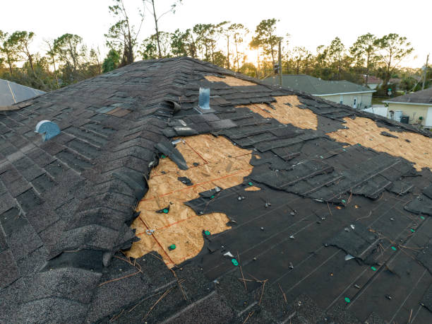 Best Roof Leak Repair  in Urania, LA